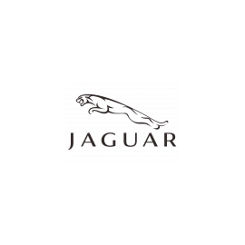 Manual Navisson para unidades de los modelos Jaguar con versión Android 10