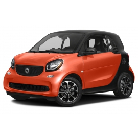 Navegador Multimedia Navisson para Smart For Two